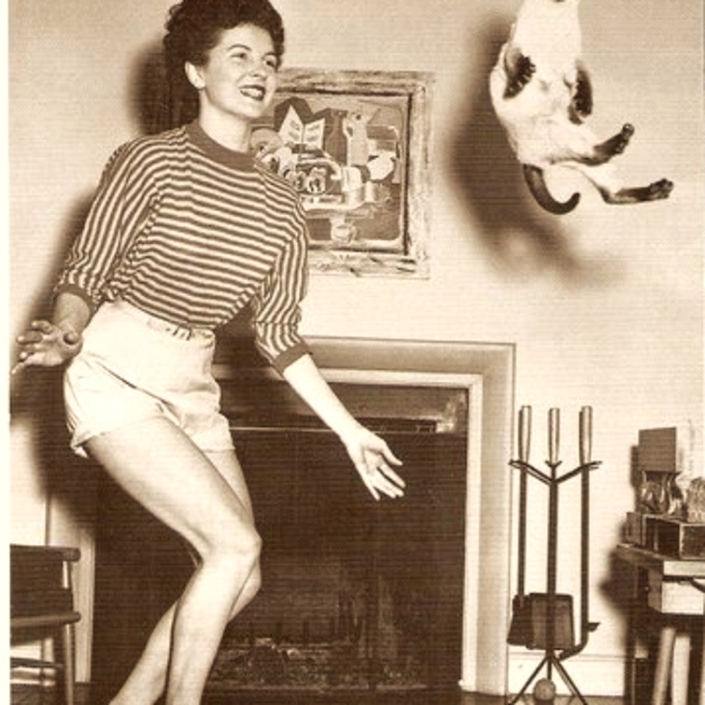 Meet your Posher, Sophie